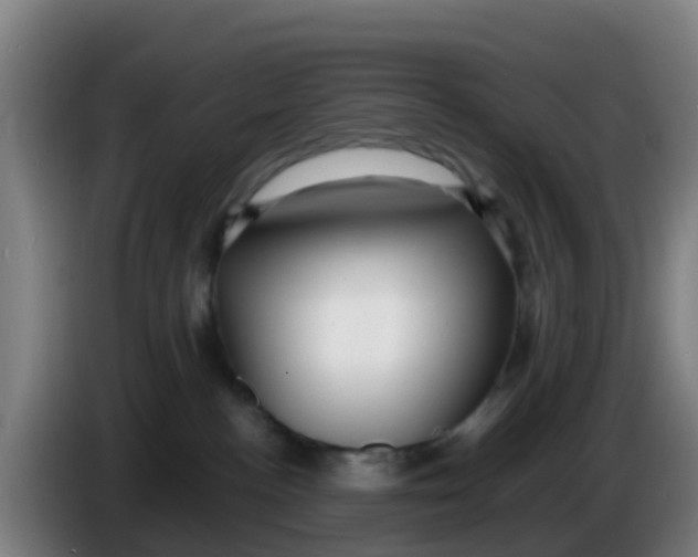 X0000086290188200704201930