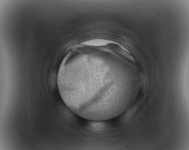 X0000086290189200704201930