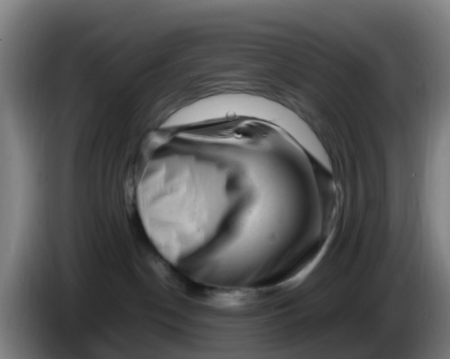 X0000086290190200704201930