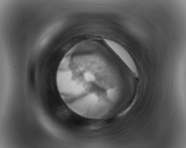 X0000086290191200704201930