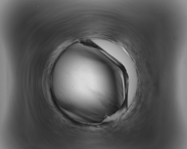 X0000086290193200704201929