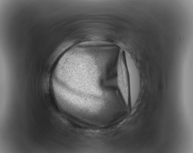 X0000086290194200704201929