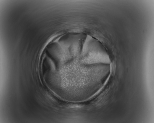 X0000086290195200704201929