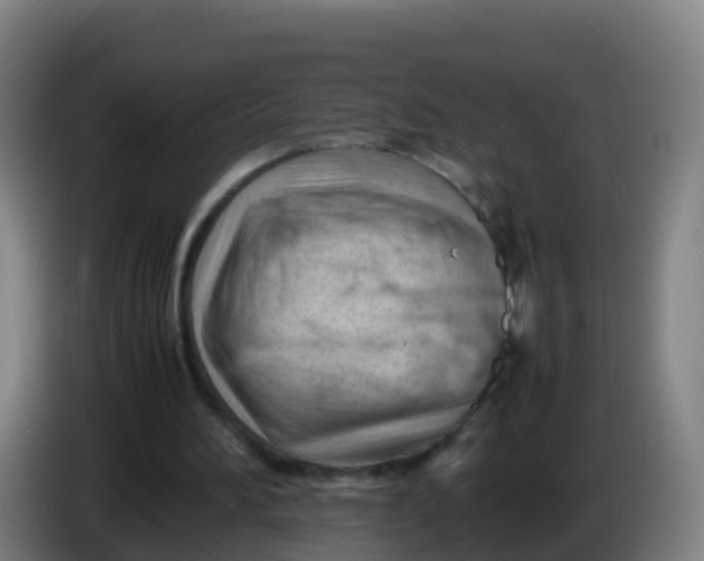X0000086290196200704201929