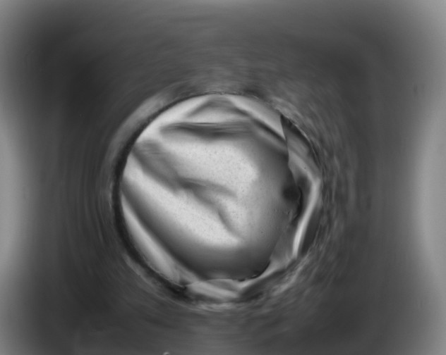 X0000086290197200704201929