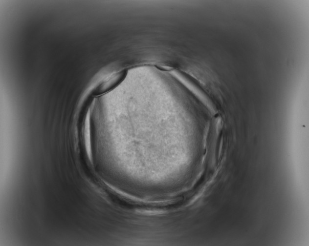 X0000086290198200704201929