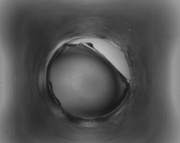 X0000086290200200704201929