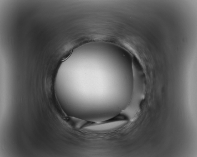 X0000086290201200704201929