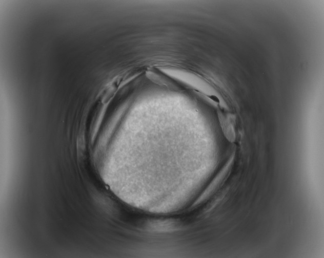 X0000086290202200704201929