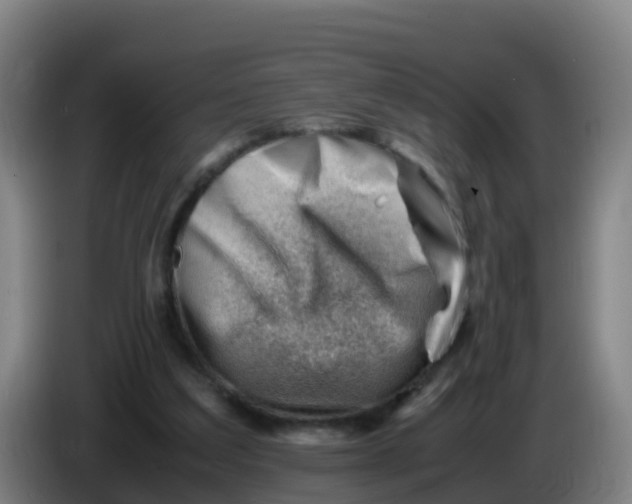 X0000086290203200704201929