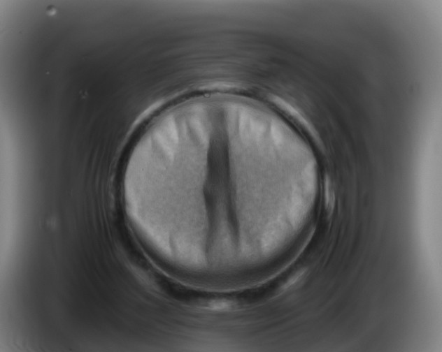 X0000086290204200704201929