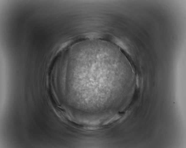 X0000086290205200704201929
