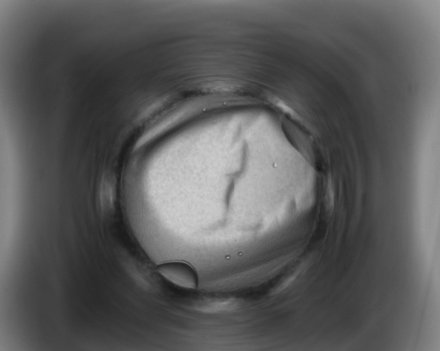 X0000086290206200704201929