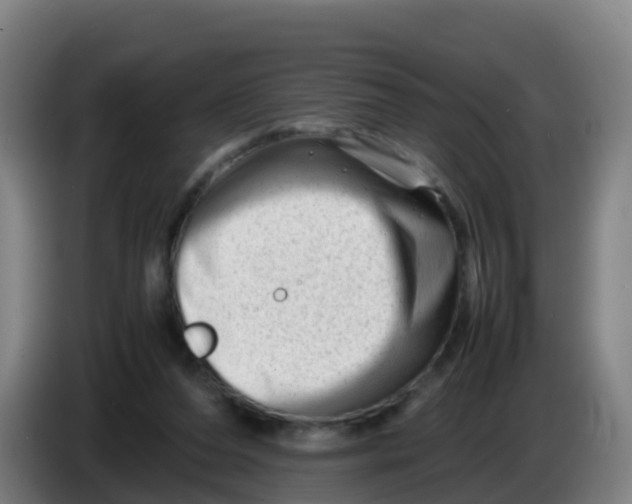 X0000086290208200704201929