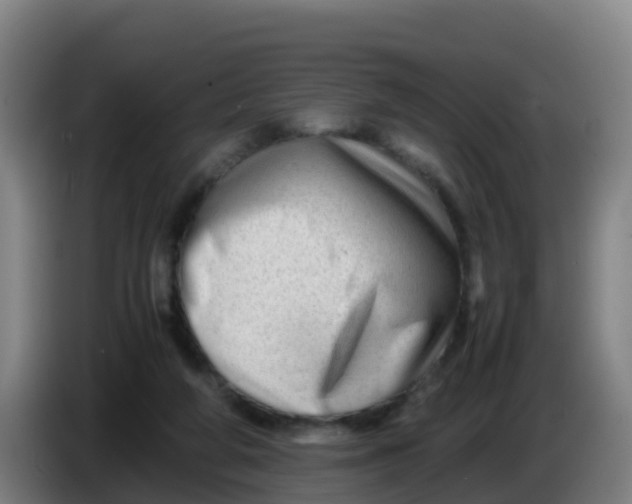 X0000086290210200704201929