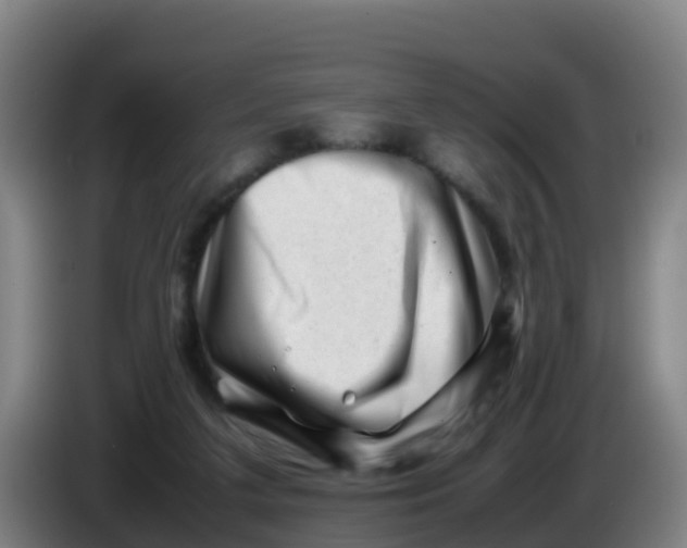 X0000086290211200704201929