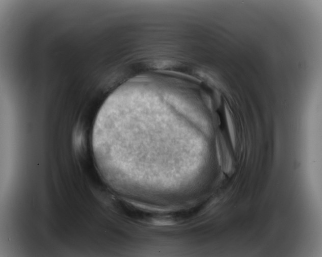 X0000086290214200704201929