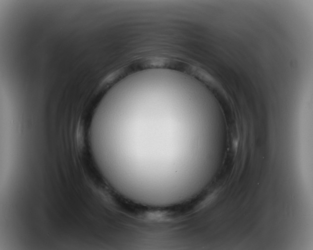 X0000086290216200704201929