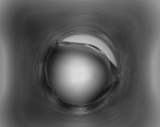 X0000086290217200704201929