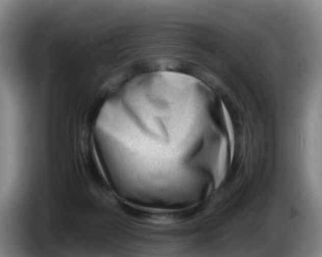 X0000086290218200704201929