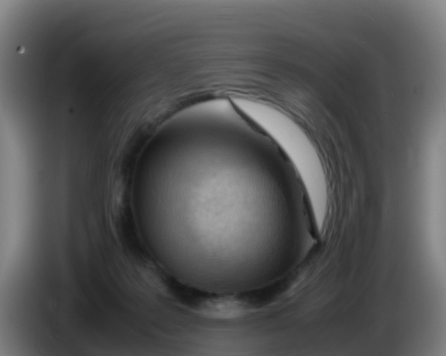 X0000086290219200704201929