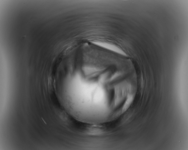 X0000086290222200704201929