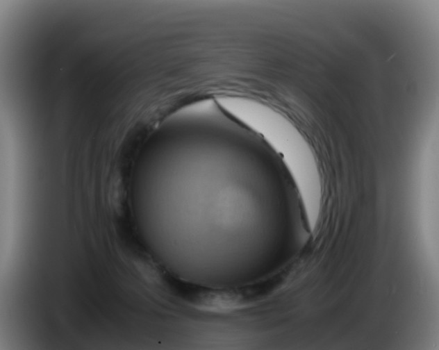 X0000086290223200704201929