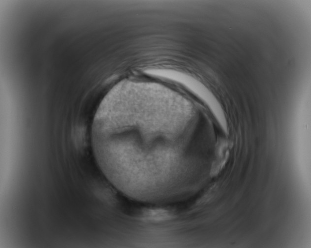 X0000086290224200704201929