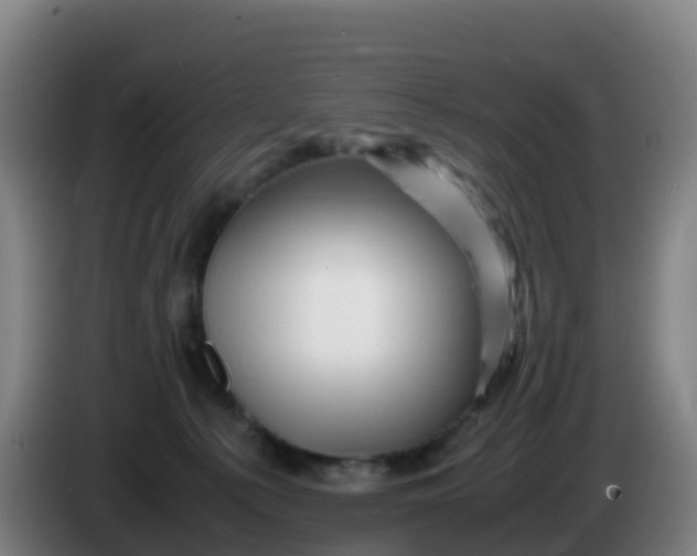 X0000086290225200704201929