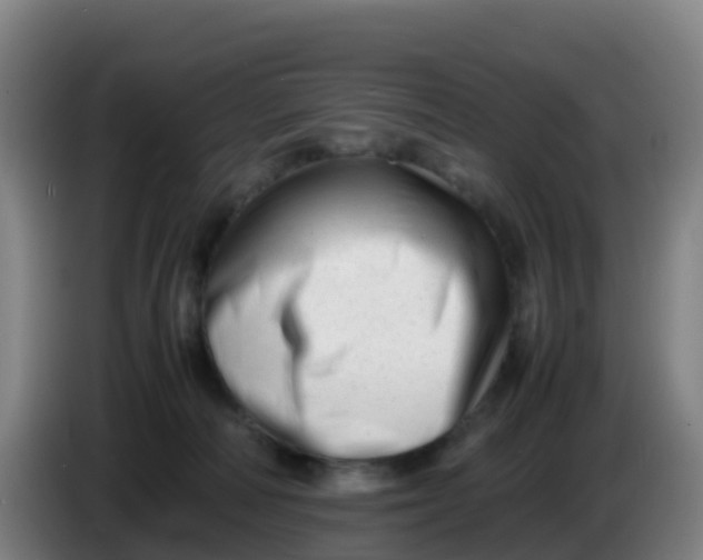 X0000086290226200704201929