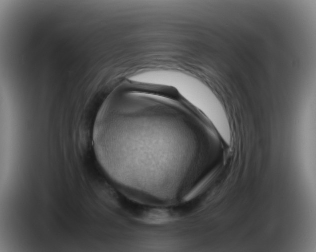 X0000086290227200704201929