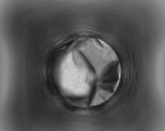 X0000086290228200704201929