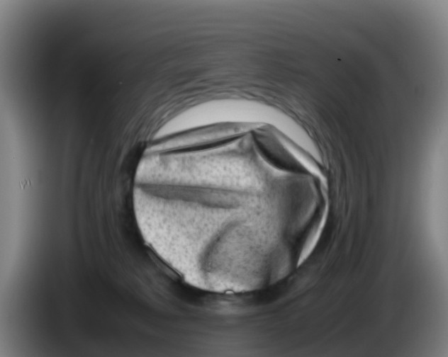 X0000086290229200704201929