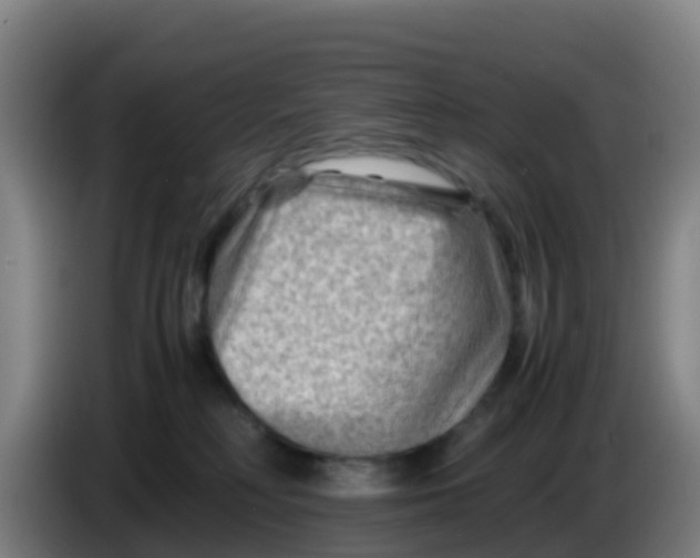 X0000086290230200704201929