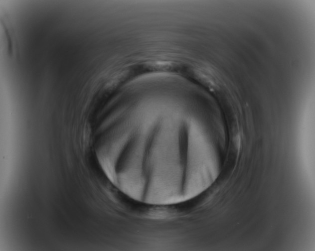 X0000086290231200704201929