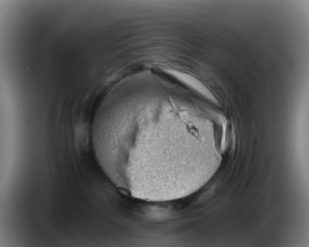 X0000086290232200704201929