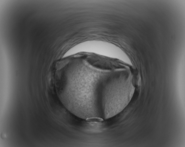 X0000086290233200704201929