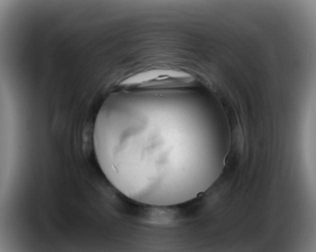 X0000086290234200704201929