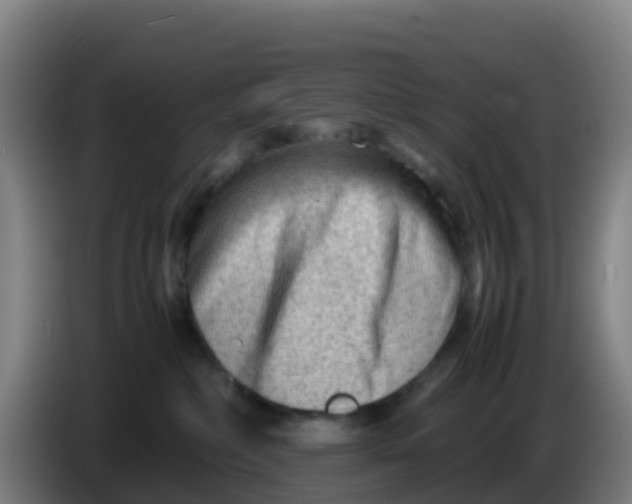 X0000086290236200704201929