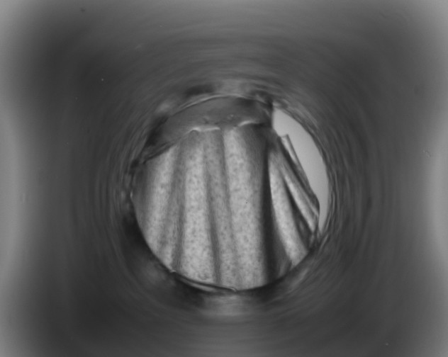 X0000086290237200704201929