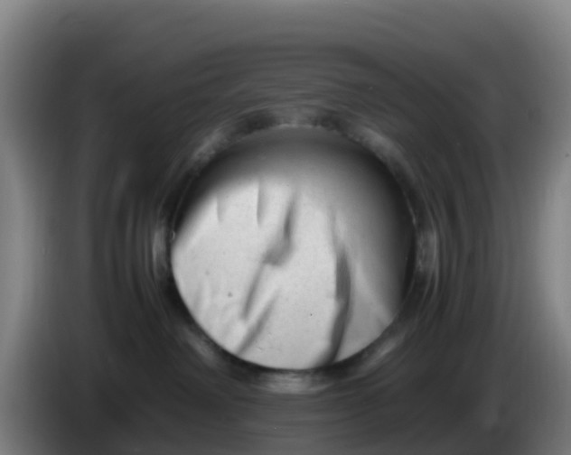 X0000086290238200704201929