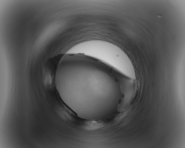 X0000086290239200704201929