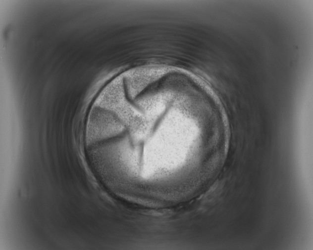 X0000086290241200704201928