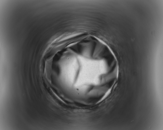 X0000086290242200704201928