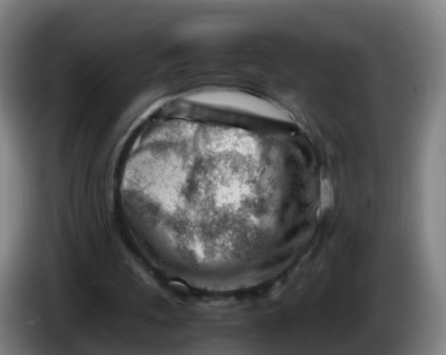 X0000086290243200704201928