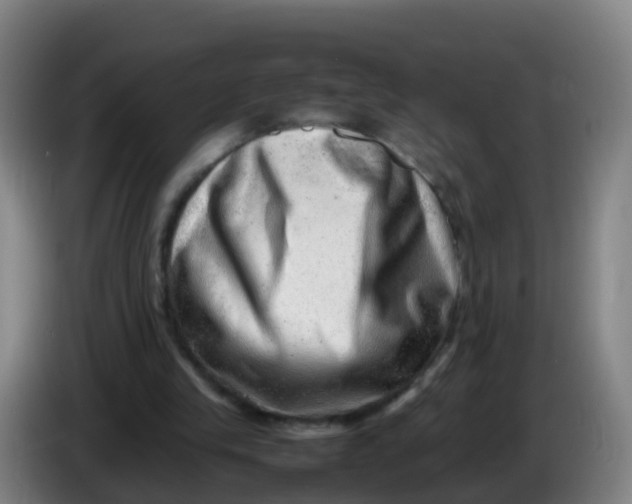X0000086290245200704201928
