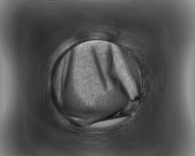 X0000086290247200704201928