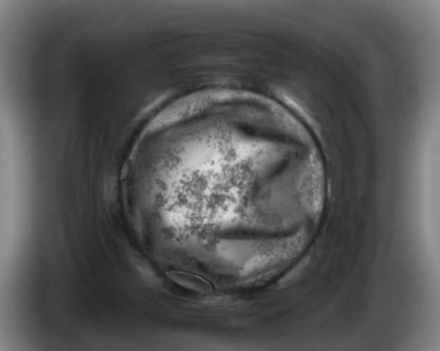 X0000086290249200704201928