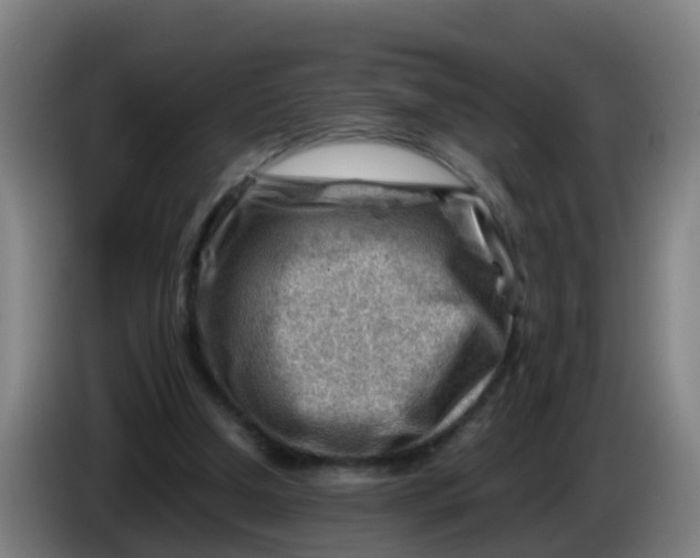 X0000086290250200704201928