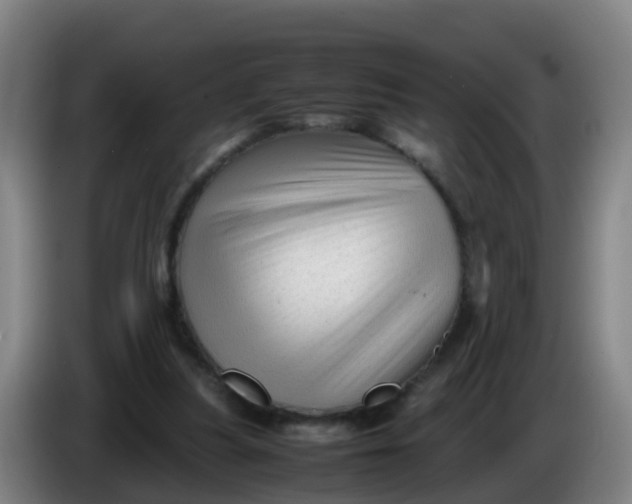 X0000086290251200704201928